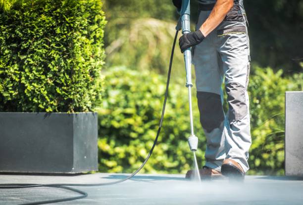 Best Pre-Holiday Cleaning  in Marysville, MI