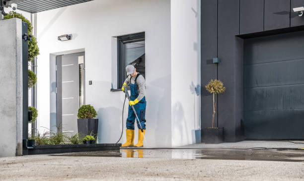 Best Roof Washing  in Marysville, MI